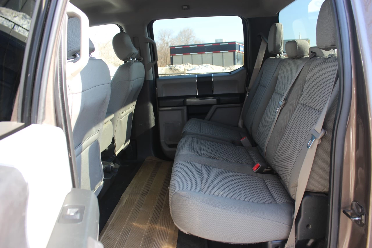 2015 Ford F-150 XLT Image principale